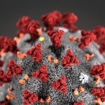 Coronavirus humano y Coronavirus animal, sus relaciones y las tecnologías para la prevención y control