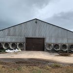 Efecto del estrés por calor en la producción de las vacas de leche: una visión práctica
