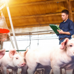 El calce financiero para asegurar la sostenibilidad del negocio