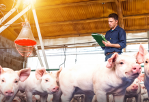 El calce financiero para asegurar la sostenibilidad del negocio